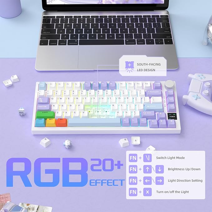 purple white blue-C02/flying fish switches