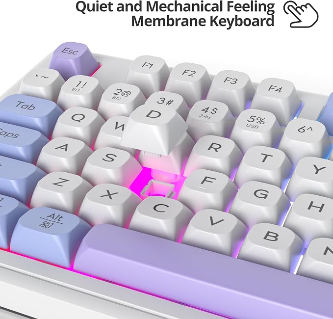 WhitePurple
