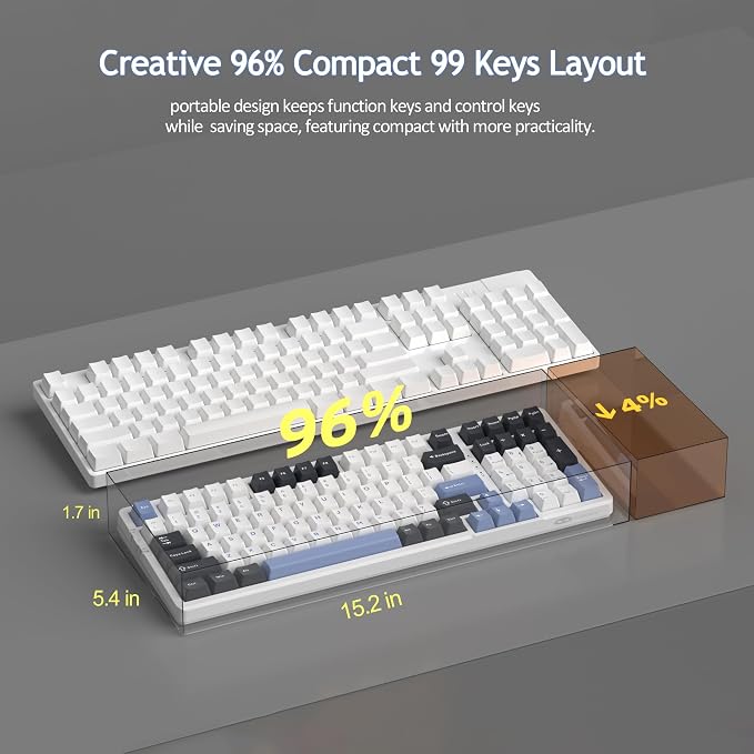 Black Blue/Ivory White Switch