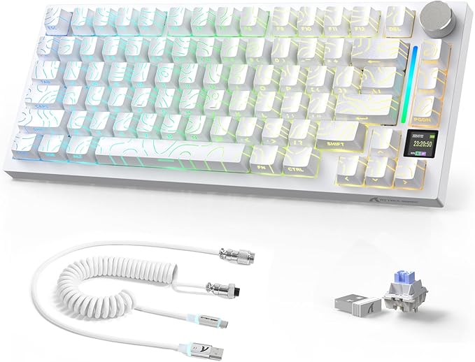 white contour/shark switches