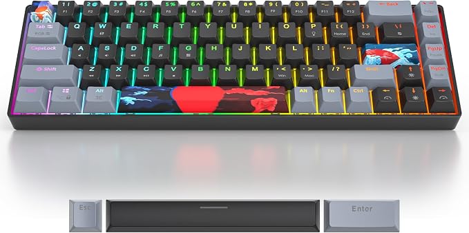 68 Dark/Red Switch