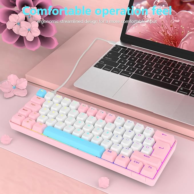 Pink/Blue Switch