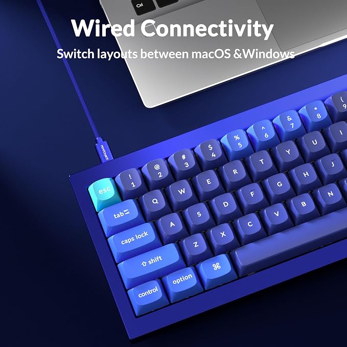 Blue (Gateron G Pro Blue Switch)