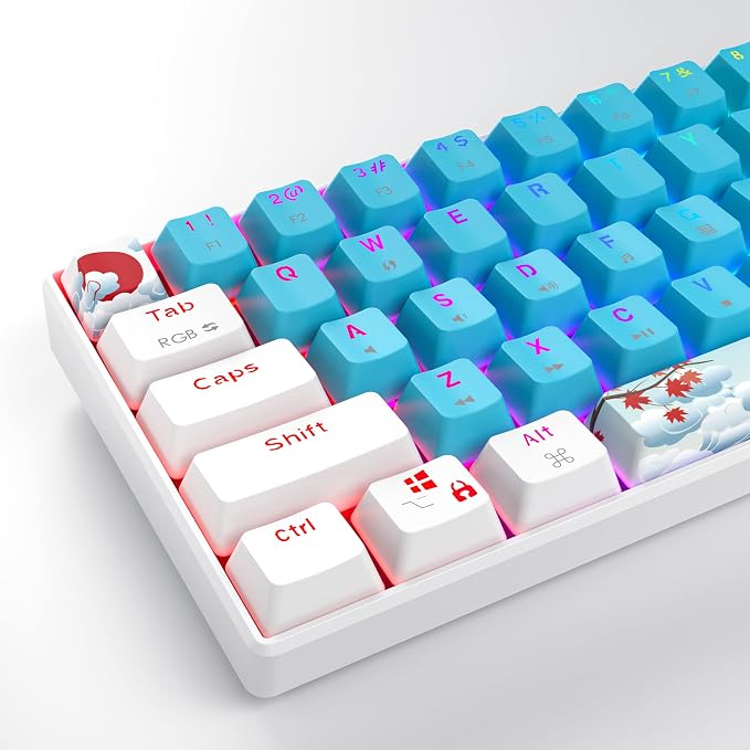 Blue/ Blue switch