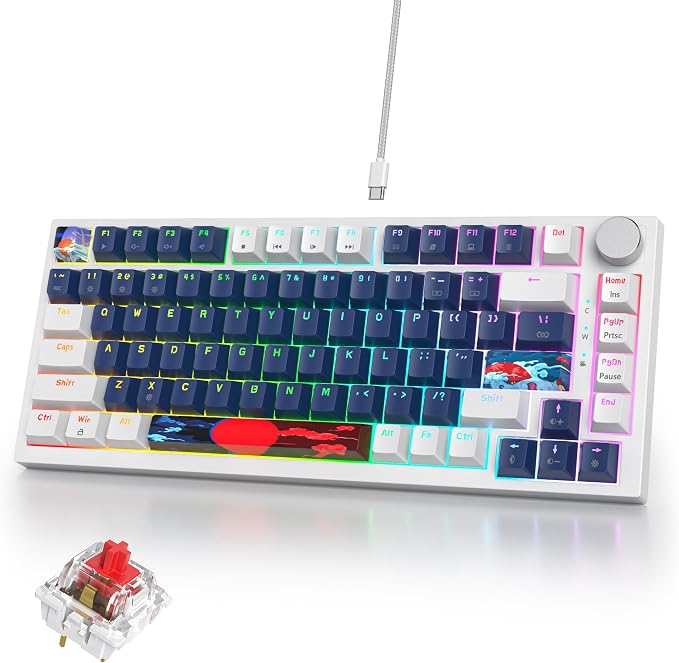 82 White Blue/Red Switch