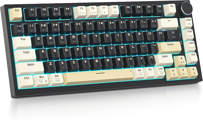 Black/GrayCreamSwitch