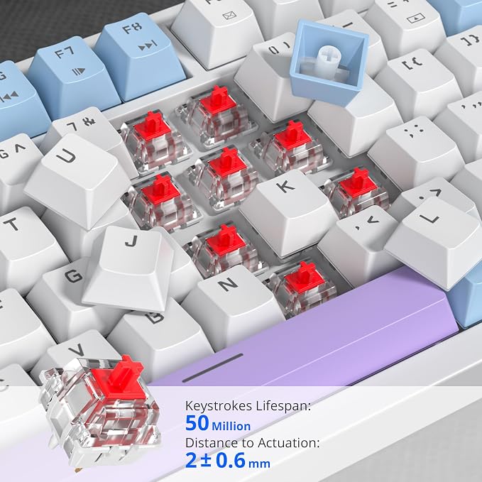 82 Purple White/Red Switch
