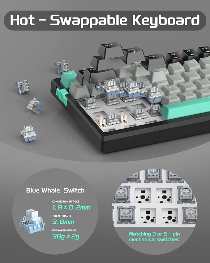 Dark Elf / Blue Whale Switch