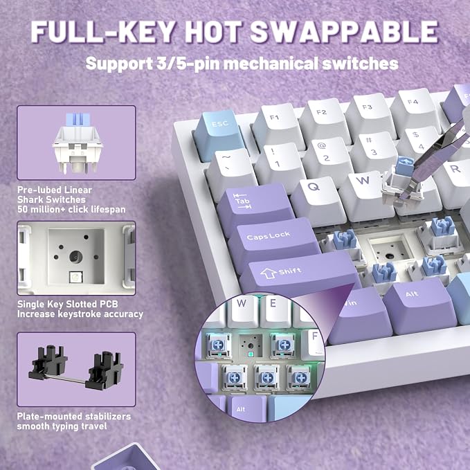 starwhite/shark switches