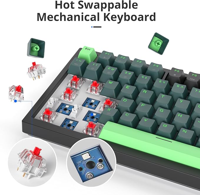 Wave/Red Switch