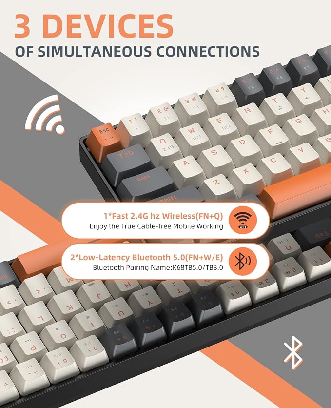 white & Orange/Red Switch