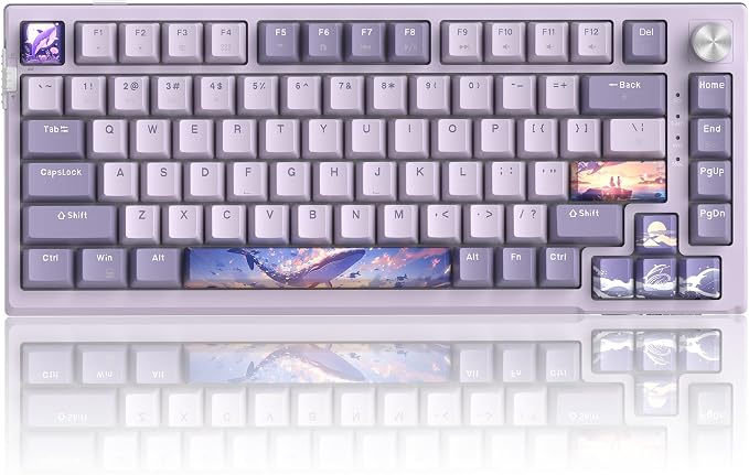Dreamy Sky / Violet Switch