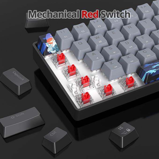 61 Dolch/Red Switch