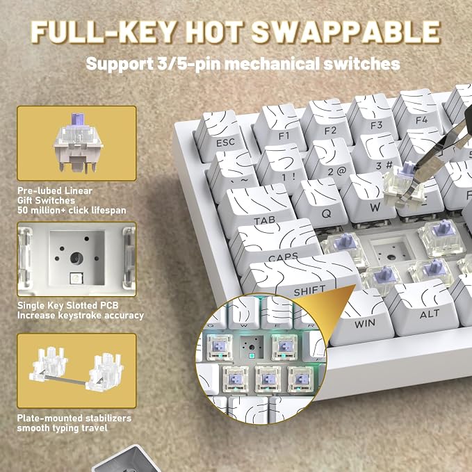 white contour/gift switches