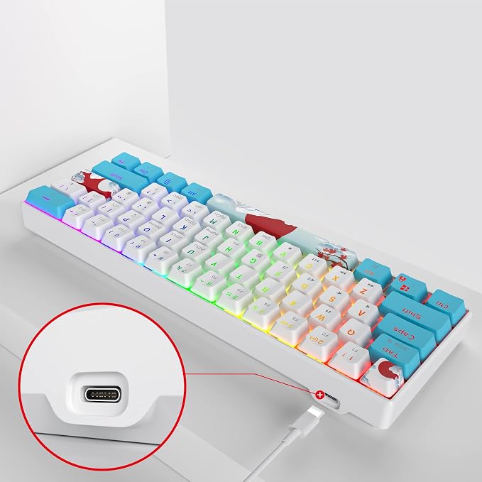 61 Sea/Red Switch