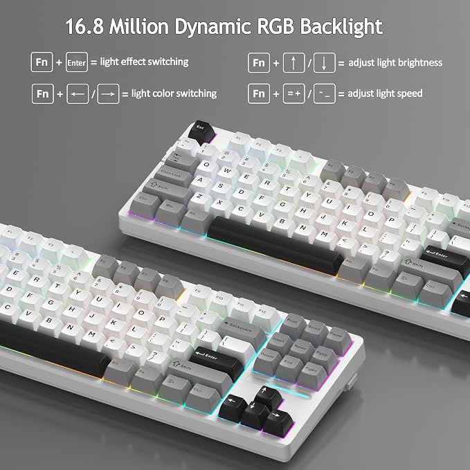White Grey/Blue Whale Switch