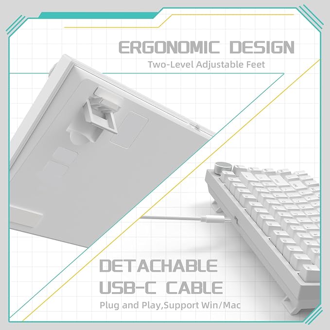 white/blue switches