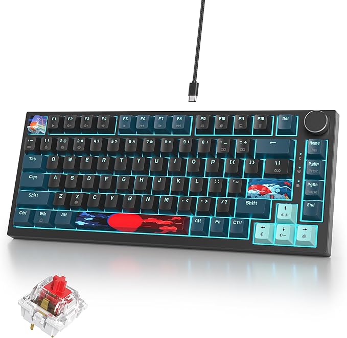82 Black Blue/Red Switch