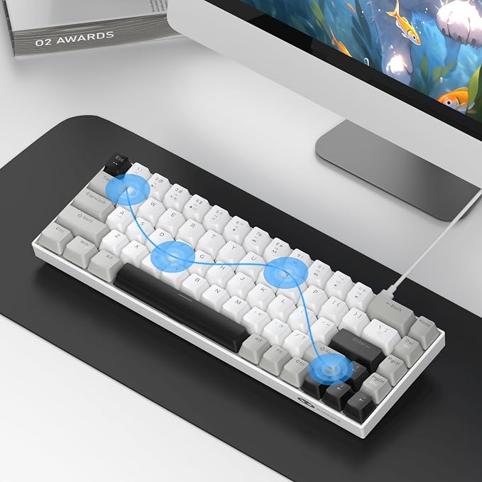 White Grey/Red Switch