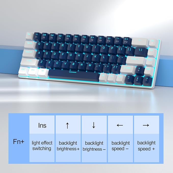 Blue/Blue Switch