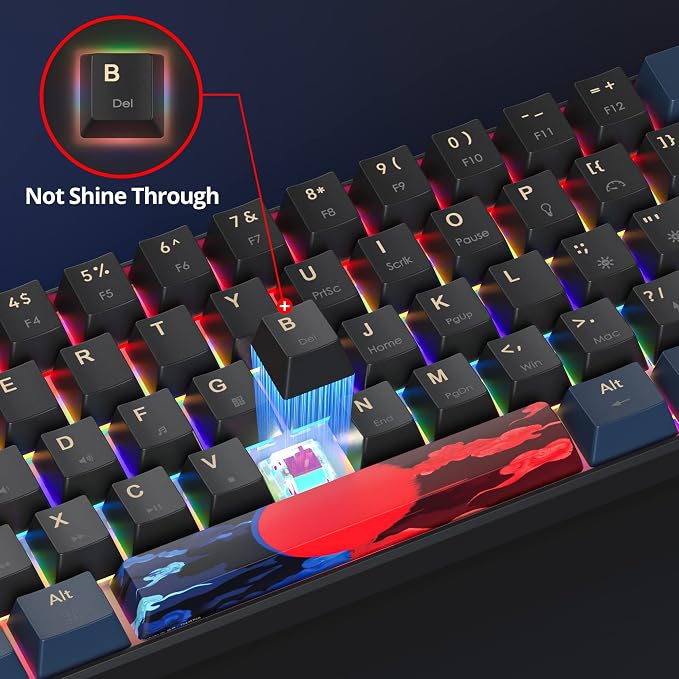 61 Blue/red swicth