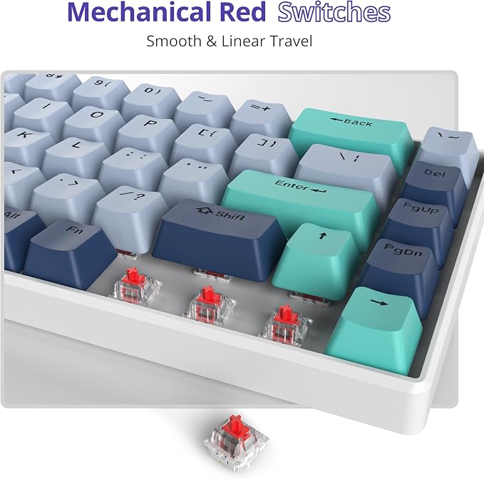 Hammerhead Shark/ 68 Red Switch