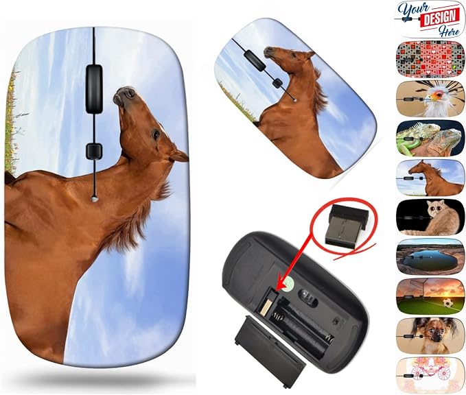 BYADAUa0cA_RUSSIAN DON HORSE RU_015