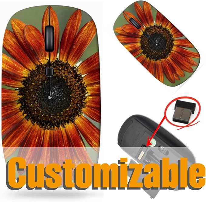 BYADAUanjA_SUNFLOWER_291