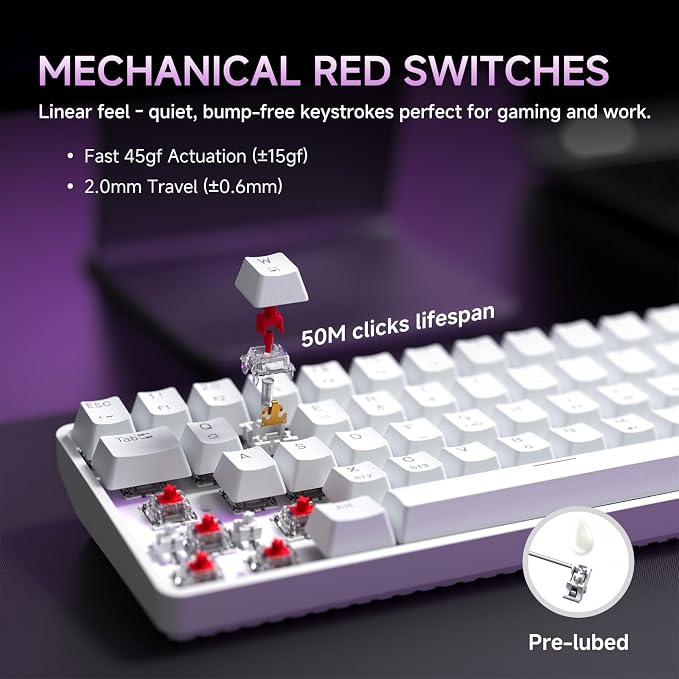 White/Red Switch
