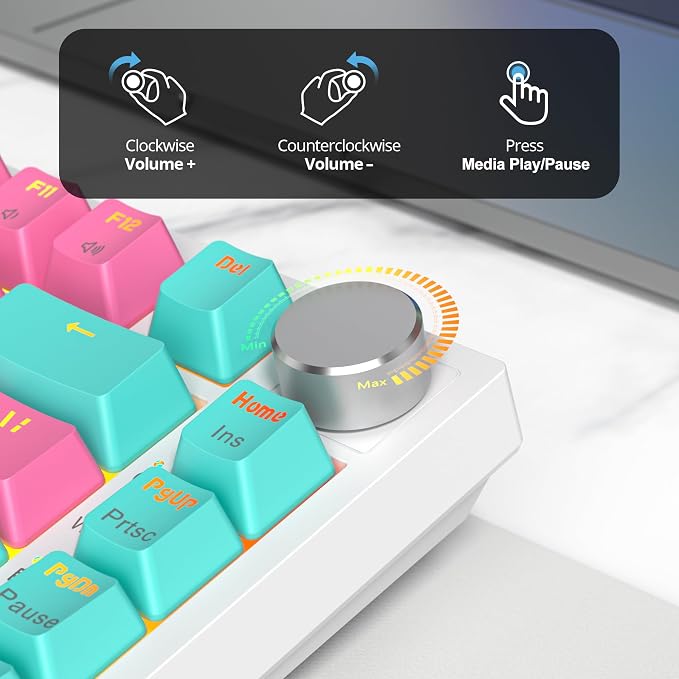 Miami/GrayCreamSwitch
