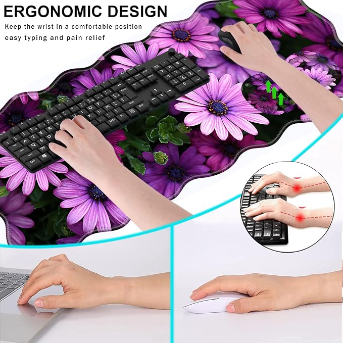 African Daisy