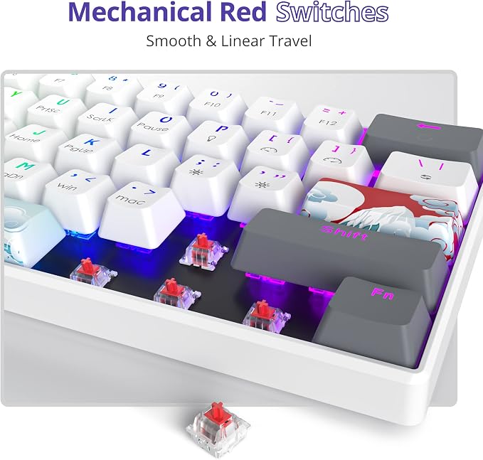 61 white/Red Swicth