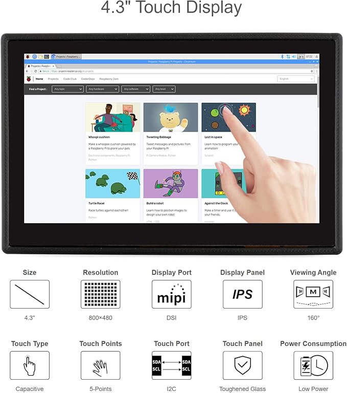 4.3 inch DSI LCD (with case)
