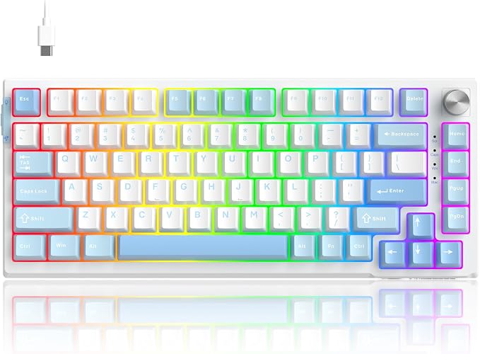 Ice Sea Blue / Pink Bear Switch