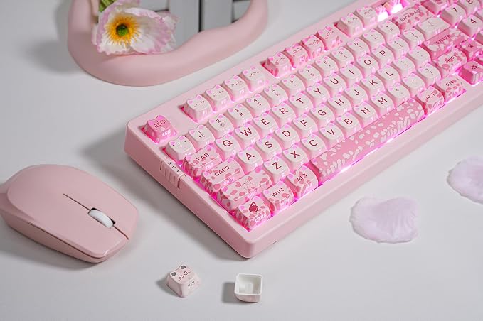 Sakura Paws