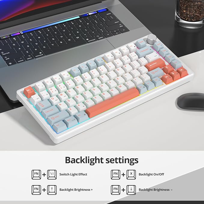 82 Light Blue/White Switch