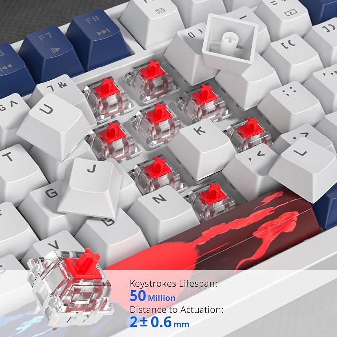 82 Blue White/Red Switch