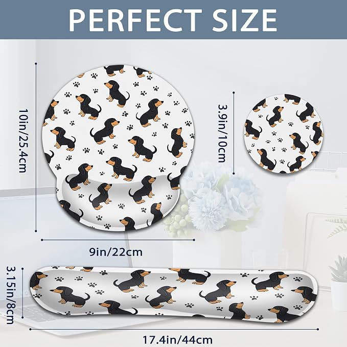 Cute Dachshund Dog Paw