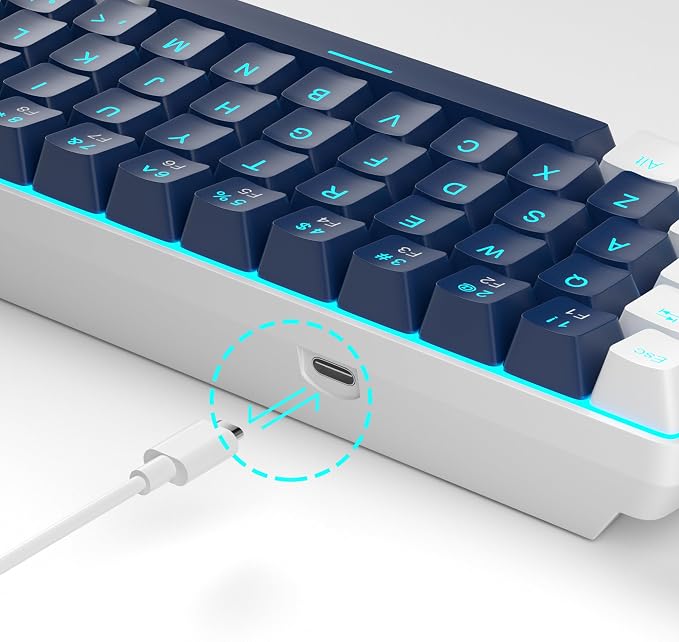 Blue/Blue Switch