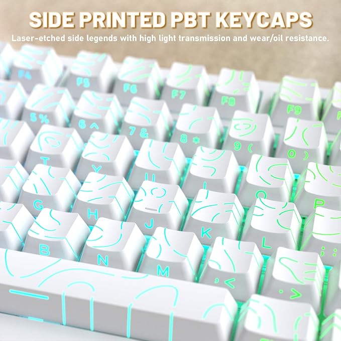 white contour/gift switches