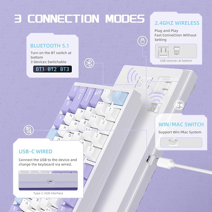 purple white blue/gift switches