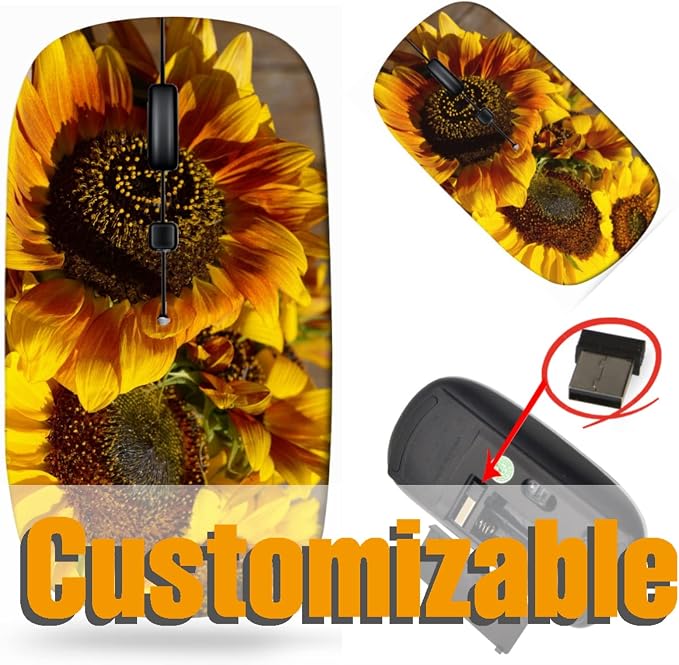 BYADAUal9A_BEAUTIFUL SUNFLOWERS_005