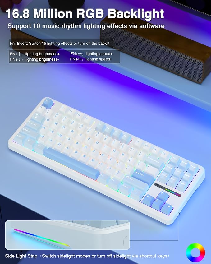 Salt White Blue