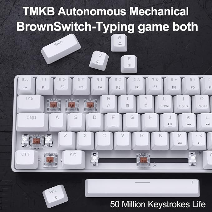 White/Brown Switch