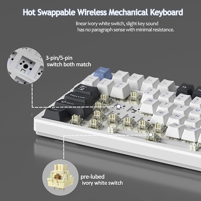 Black Blue/Ivory White Switch