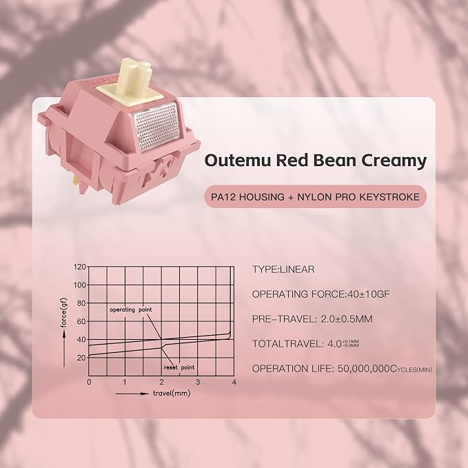 Red Bean