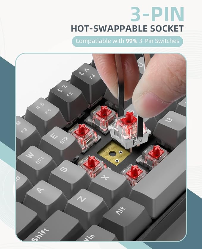 Light gray/Red Switch