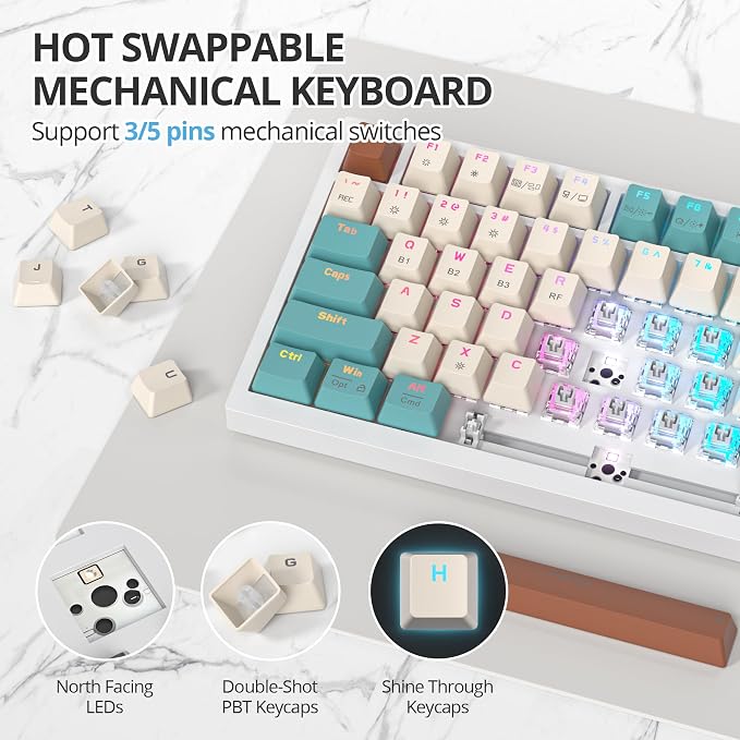 Brown/GrayCreamSwitch