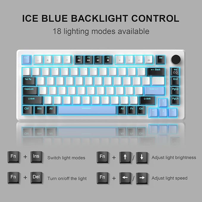 White & Blue - Brown Switch