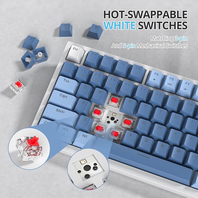 Fog Blue /Red Switch